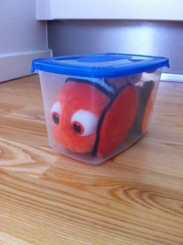 Nemo in a box