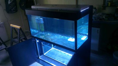 IMAG0179.jpg (28.24 KiB) Vist 4873 gange Der var ingen utætheder så nu var det om at komme videre, købte et aldre akvastabil med alu ramme på 160 liter for en hund inde i byen, fik afmonteret de øverste lister og gav kanten lidt elektrikker tape så man ikke skær sig, dette bliver den nye sump.