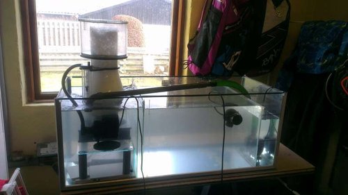 IMAG0265.jpg (34.16 KiB) Vist 4898 gange Sumpen bestod sin endelige prøve efter et par ombygninger, det er fedt når det hele bare spiller max ;) nu glæder jeg mig godt nok til at komme videre.. lavede en test blanding med den rigtige mængde køkken salt og skummeren kørte et par dage, fik da skummet lidt ;)