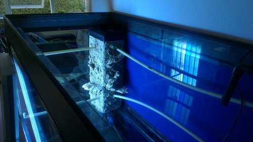 IMAG0317.jpg (35 KiB) Vist 4872 gange Overløb efter montering af DIY skjuler, lavet af to glasplader, lidt smadret oral sten+støv, vand og lidt fragmenter. syntes det er blevet rigtig godt :) 09.03.2013