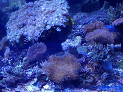 IMG_2312.JPG