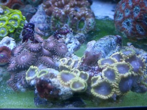 20140130_212329.jpg