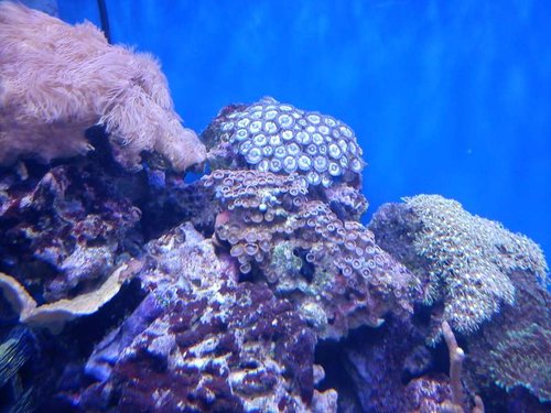 IMG_20140203_130939.jpg