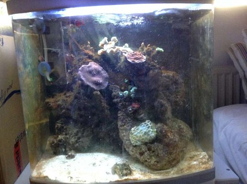 foto 2 (7).JPG