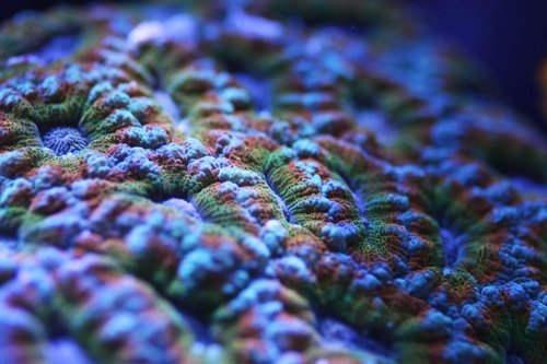 IMG_1398.JPG