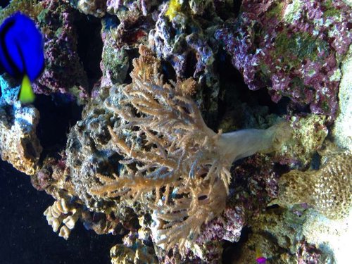 image.jpg (85.86 KiB) Vist 2822 gange Billede 1