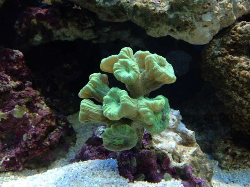 image.jpg (55.64 KiB) Vist 2822 gange Billede 2