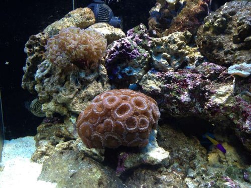 image.jpg (78.03 KiB) Vist 2822 gange Billede 3