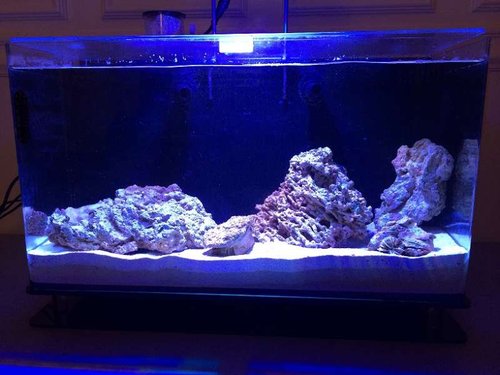 photo (21).JPG