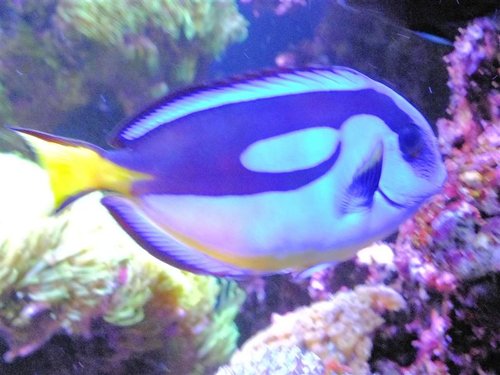 DSCF9558 (Medium).jpg
