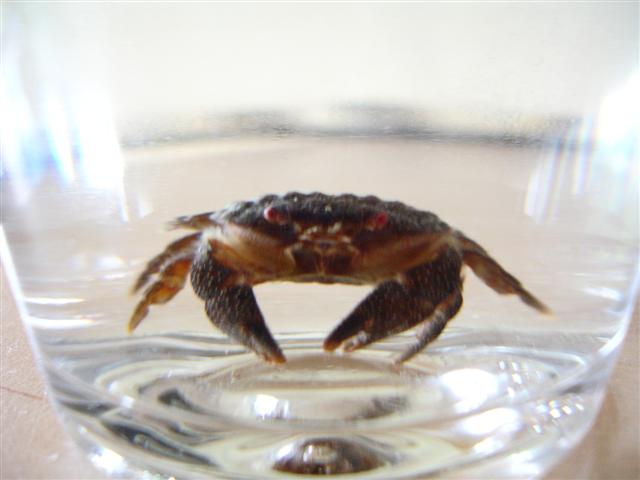 DSC09449 (Small).JPG