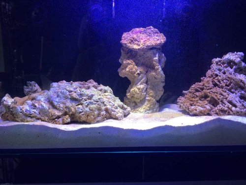 photo (24).JPG