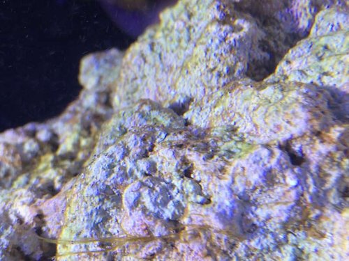 photo (25).JPG