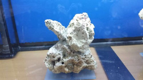 20140209_121538.jpg