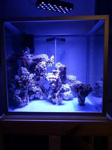 FTS (direkte forfra)
