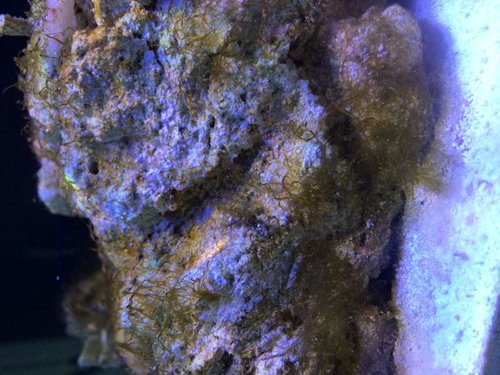 photo (26).JPG