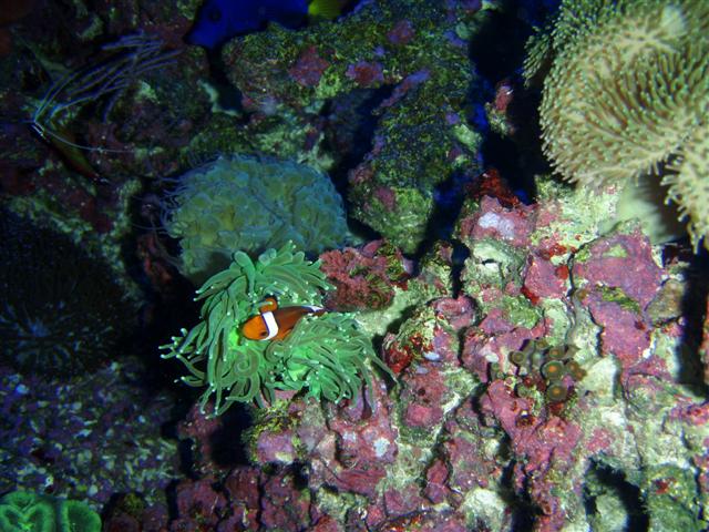 P7060065 (Small).JPG