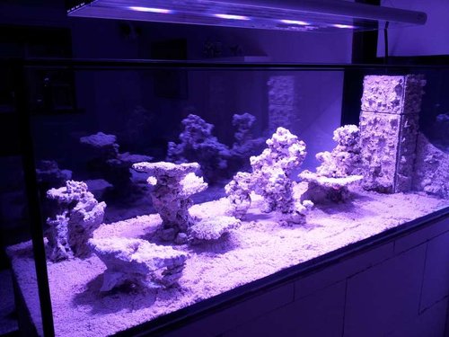 20140223_213459.jpg