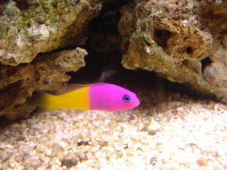DSC04251.JPG