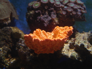 DSC04300.JPG
