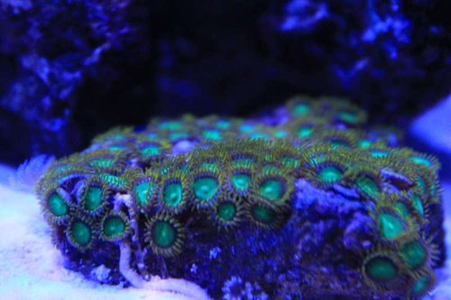 IMG_0016.JPG