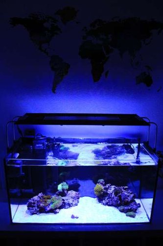 IMG_0008.JPG