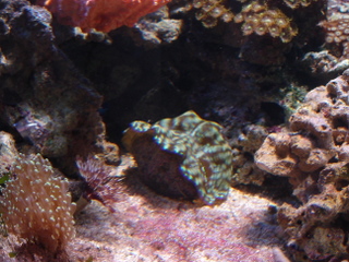 DSC04325.JPG