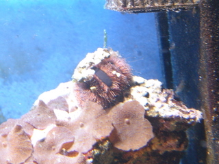 DSC04357.JPG