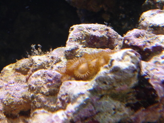 DSC04350.JPG