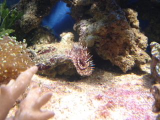 DSC04344.JPG