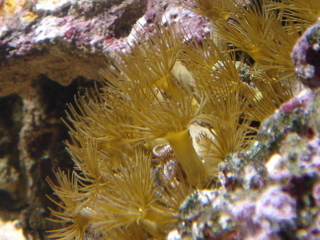 DSC04336.JPG