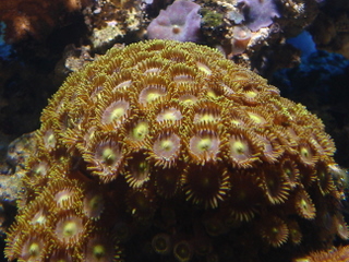 DSC04335.JPG