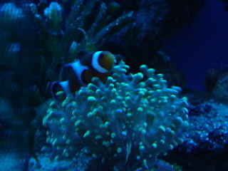 DSC04371.JPG