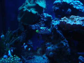 DSC04370.JPG