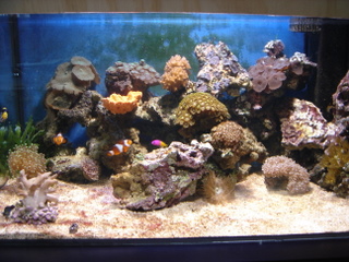 DSC04315.JPG