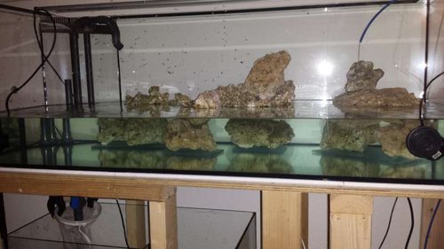 20140304_063210.jpg