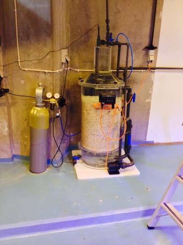 Kalkreaktor for koralrevet udløb mellem 150-200 L/h