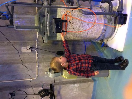 image.jpg (55.43 KiB) Vist 3486 gange Andreas (knap 3 år) plus en mindre Schuran kalkreaktor