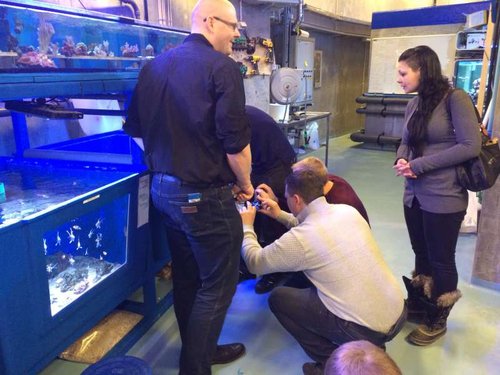 image.jpg (55.81 KiB) Vist 3486 gange En flok jyder