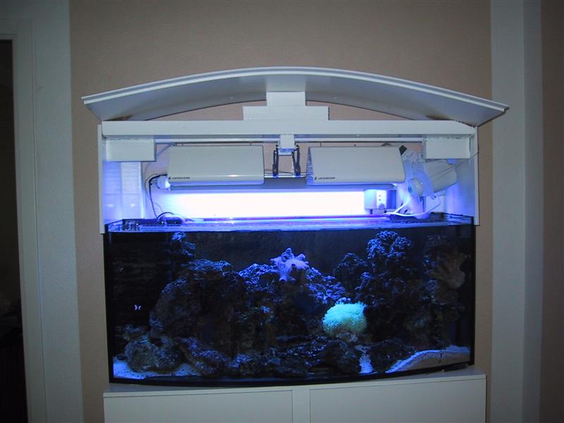 IMG_0049 (Medium).JPG