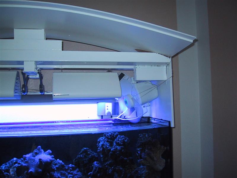 IMG_0047 (Medium).JPG