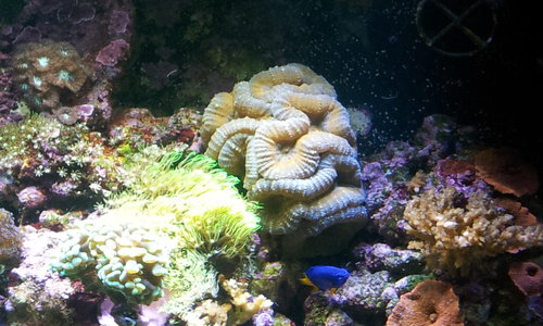 20140310_110157.jpg