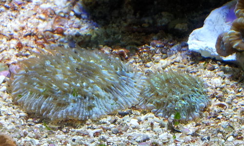 20140310_110213.jpg