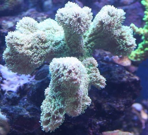 April 2012 1028.JPG