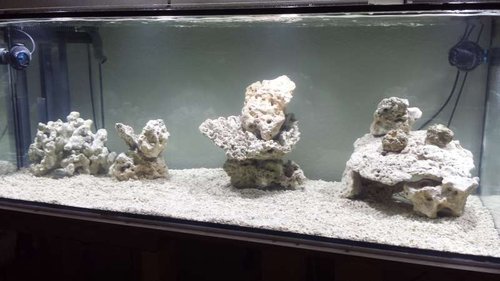20140311_202942.jpg