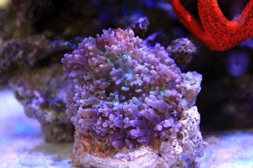 IMG_0161.JPG