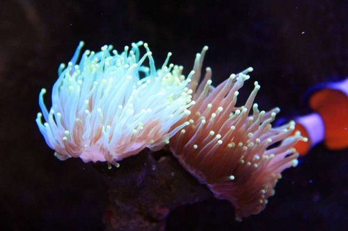 IMG_0164.JPG