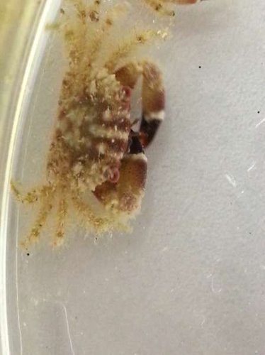 2014-03-12 12.10.14.jpg