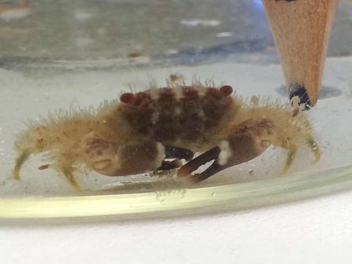 2014-03-12 12.38.04.jpg