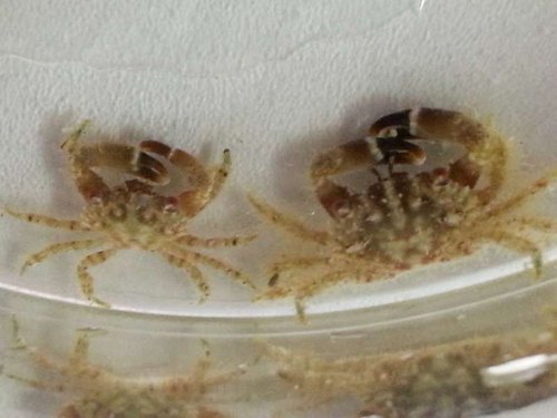 2014-03-12 12.06.43.jpg